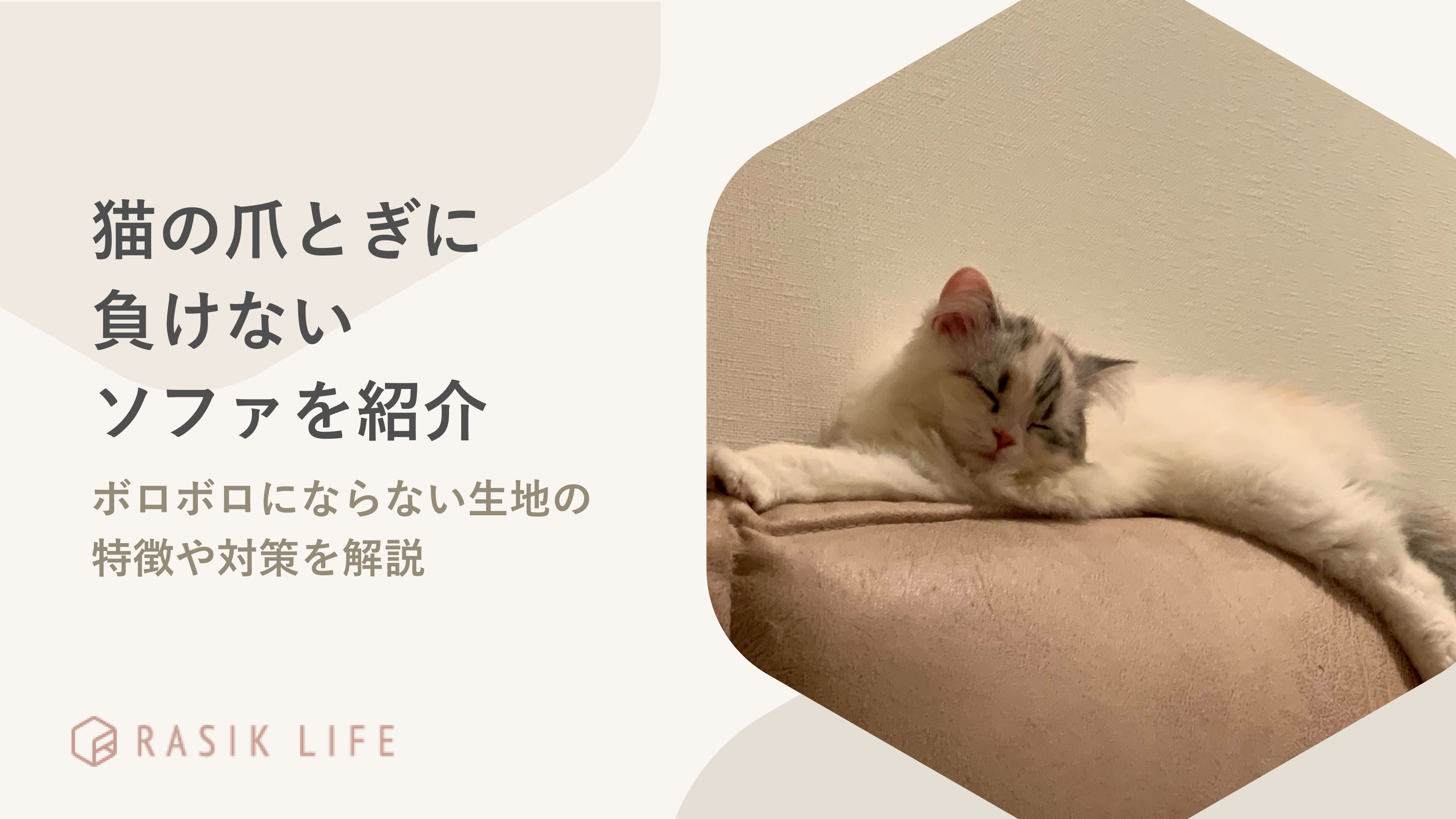 猫の爪とぎに負けないソファを紹介!ボロボロにならない生地の特徴や対策を解説