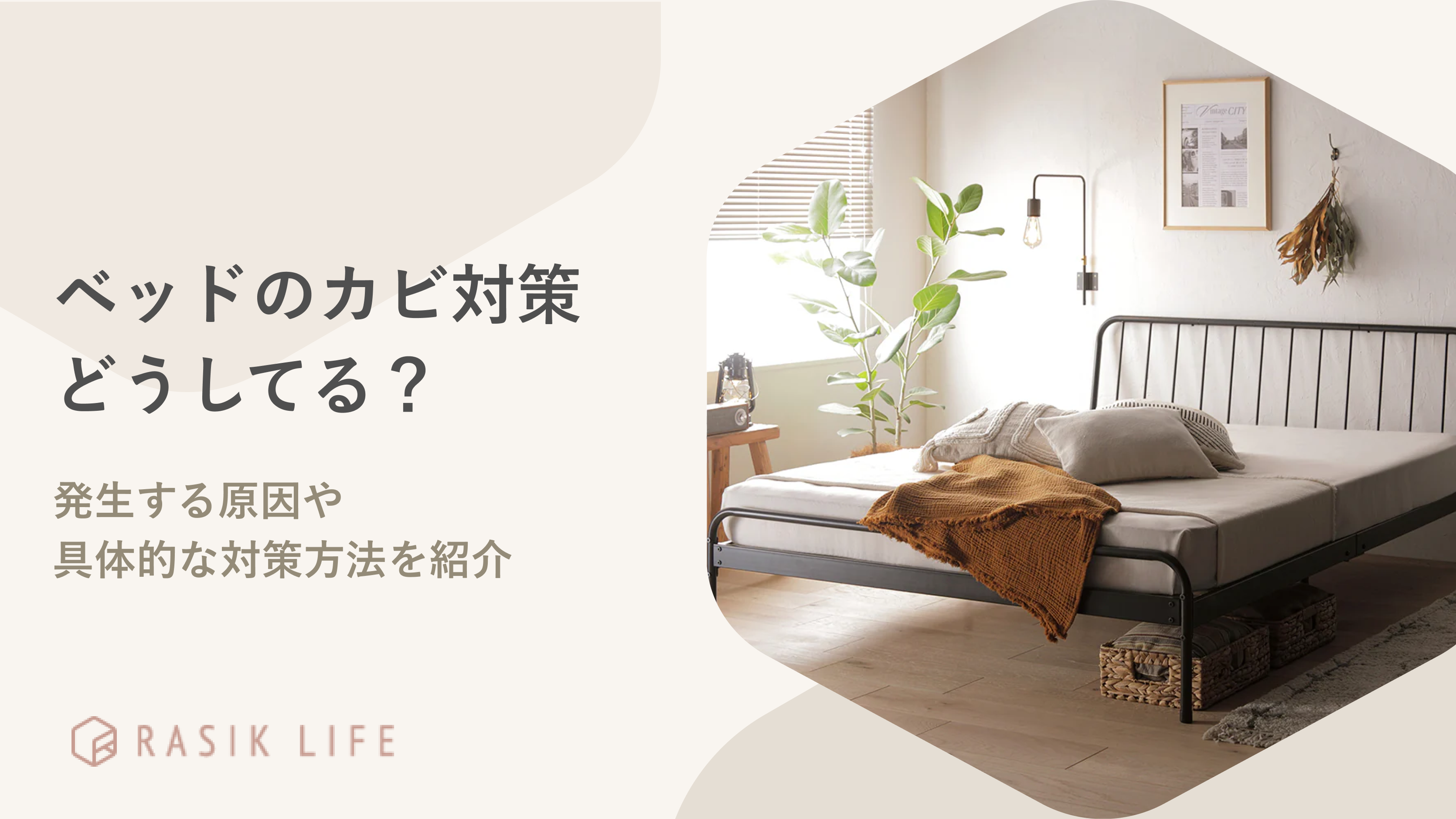 ベッドのカビ対策はどうする?発生する原因や具体的な対策方法を紹介