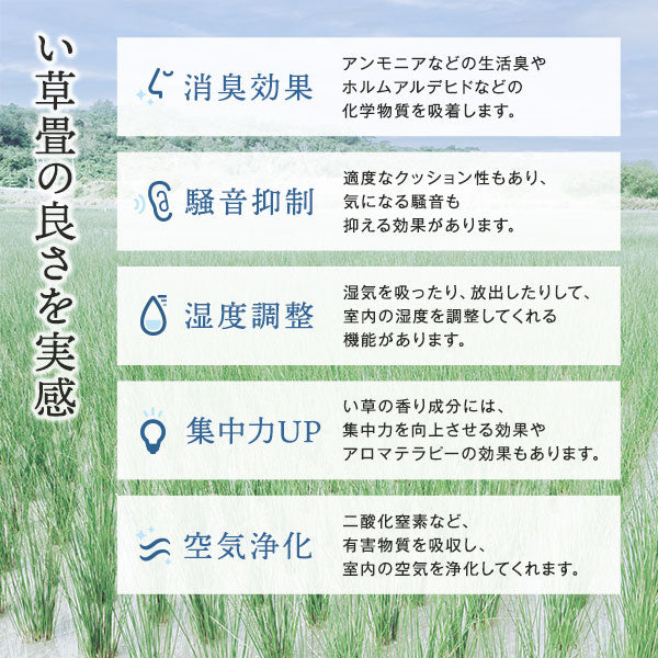 い草畳の良さを実感 消臭効果 騒音抑制 湿度調整 集中力UP 空気浄化