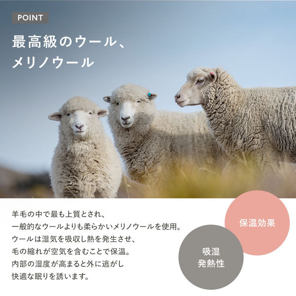 最高級のウール、メリノウール