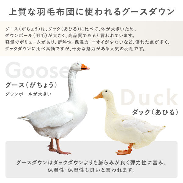 上質な羽毛布団に使われるグースダウン