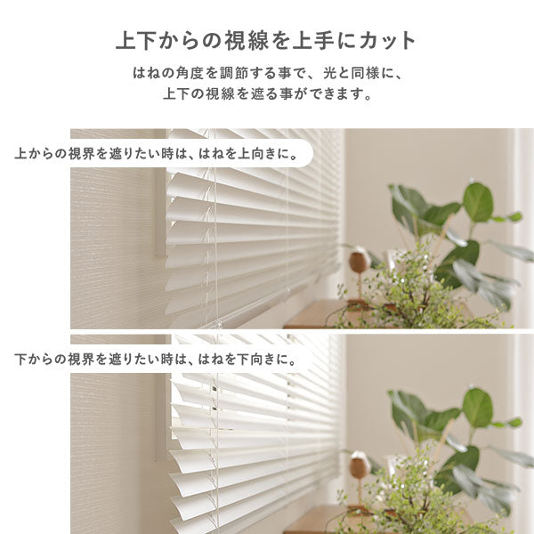 上下からの視線を上手にカット