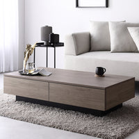 引き出し付き センターテーブル 『Solwyn ソルウィン』 長方形 120×60cm グレージュ