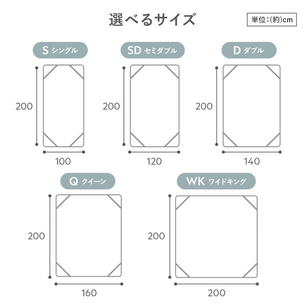 サイズバリエーション