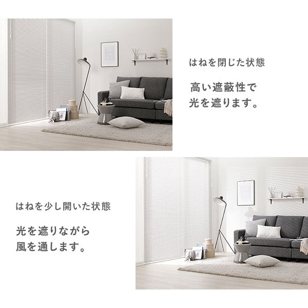 はねを閉じた状態・はねを少し開いた状態