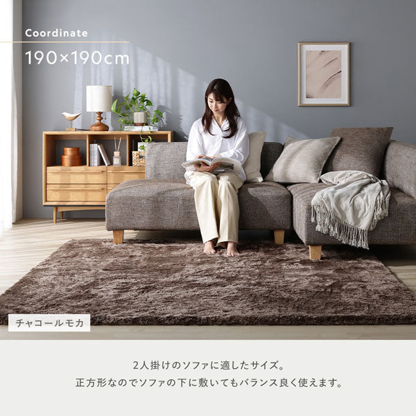 190×190cm:2人掛けのソファに適したサイズ。正方形なのでソファの下に敷いてもバランス良く使えます。