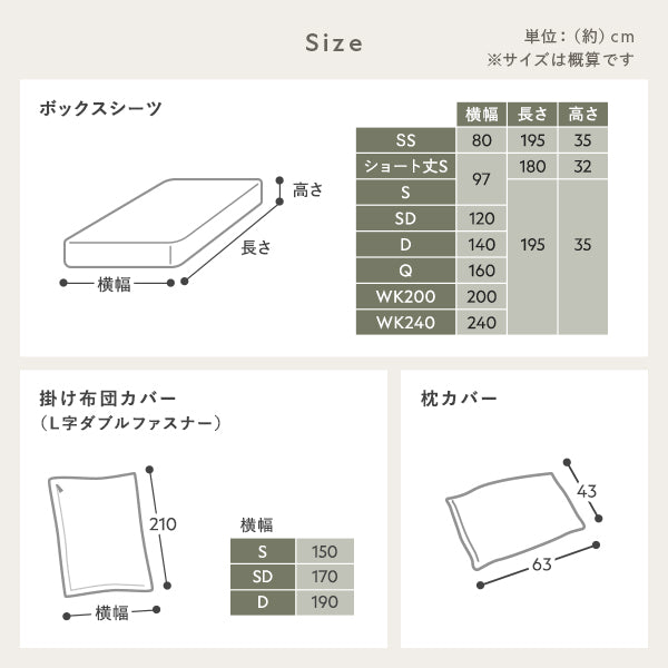 サイズ