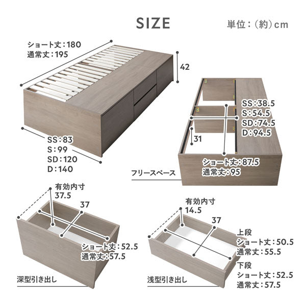 サイズ
