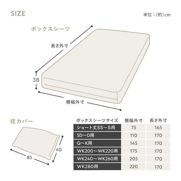 サイズ