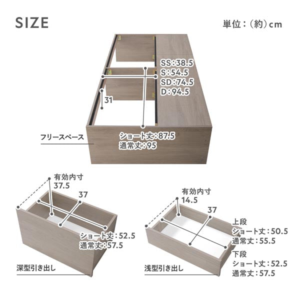 サイズ