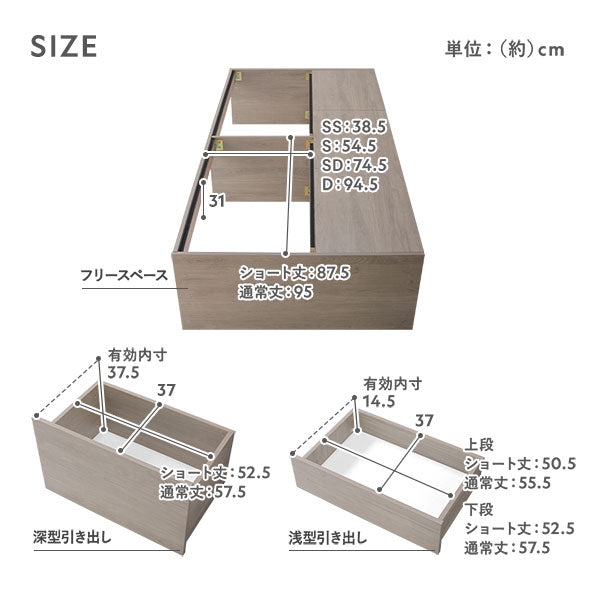 サイズ