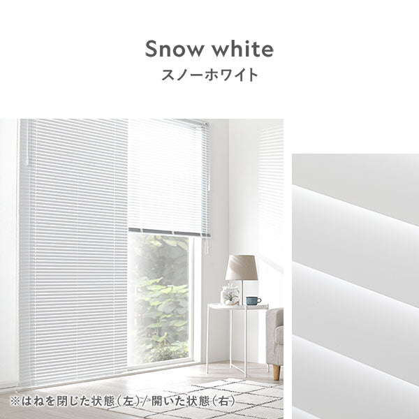 カラーバリエーション・スノーホワイト