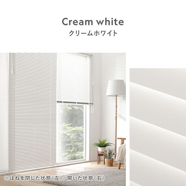 カラーバリエーション・クリームホワイト