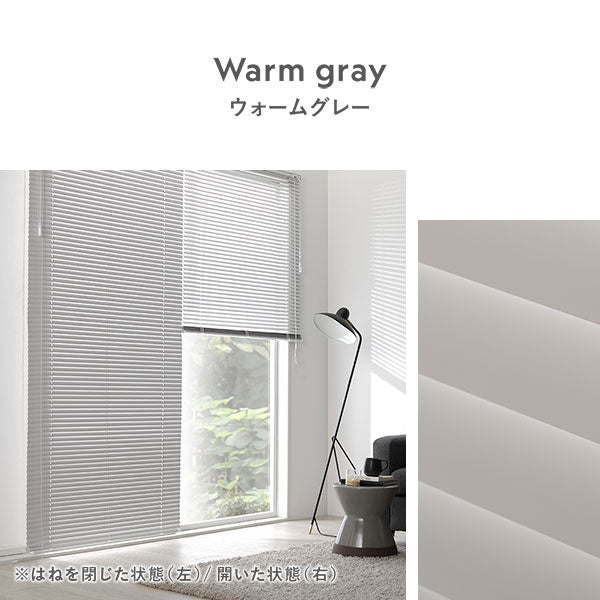 カラーバリエーション・ウォームグレー