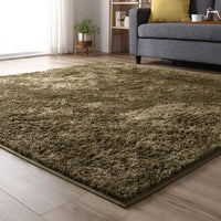 洗えるシャギーラグ 制菌加工 【2畳(約185×185cm)】 グリーン