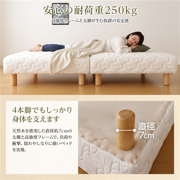 耐荷重 250kg