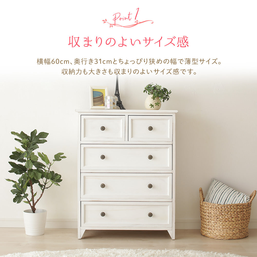幅 60cm 奥行 31cm 薄型