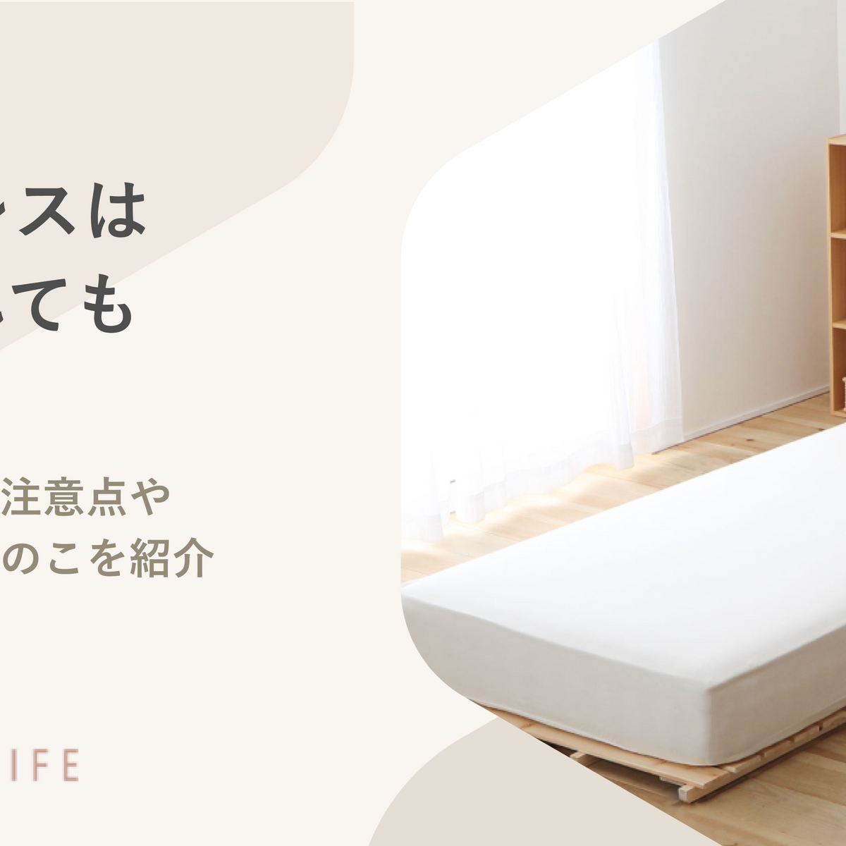 2_d80e0ba4-dab6-4538-9ae0-