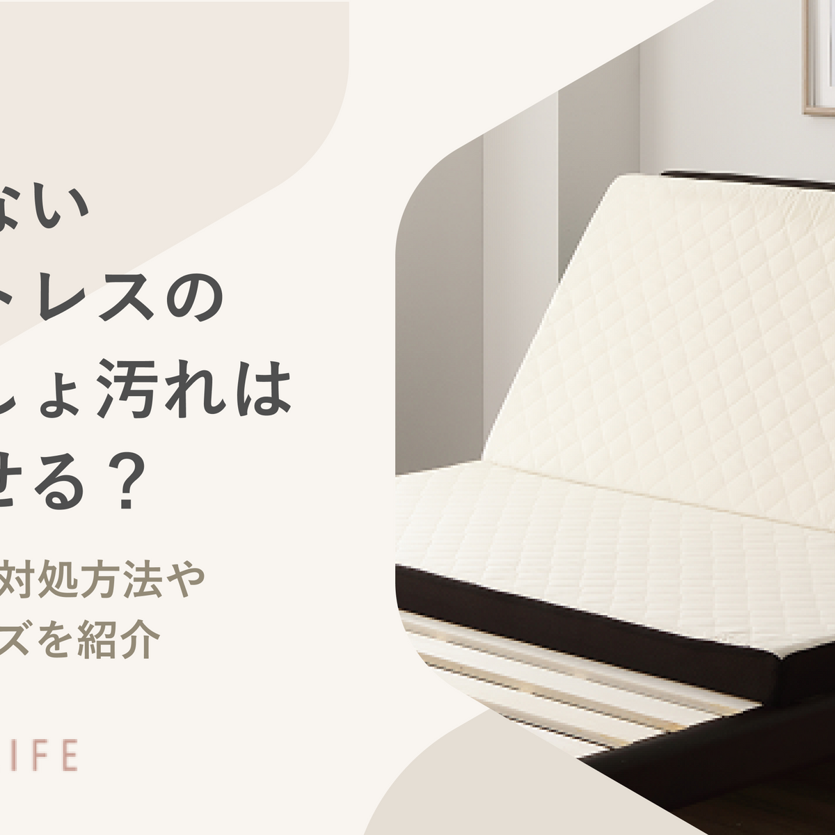 48d8a6344a924c41fd4e43a87a3da5 48d8a6344a924c41fd4e43a87a3da5