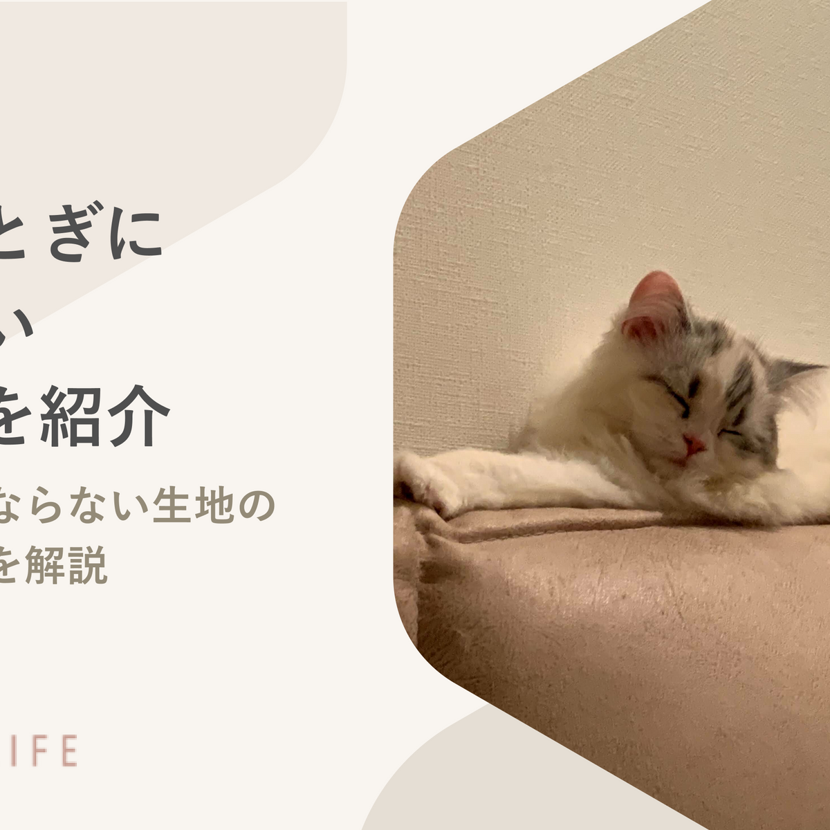 猫の爪とぎに負けないソファを紹介！ボロボロにならない生地の特徴や対策を解説 – RASIK（ラシク）家具・インテリア専門店