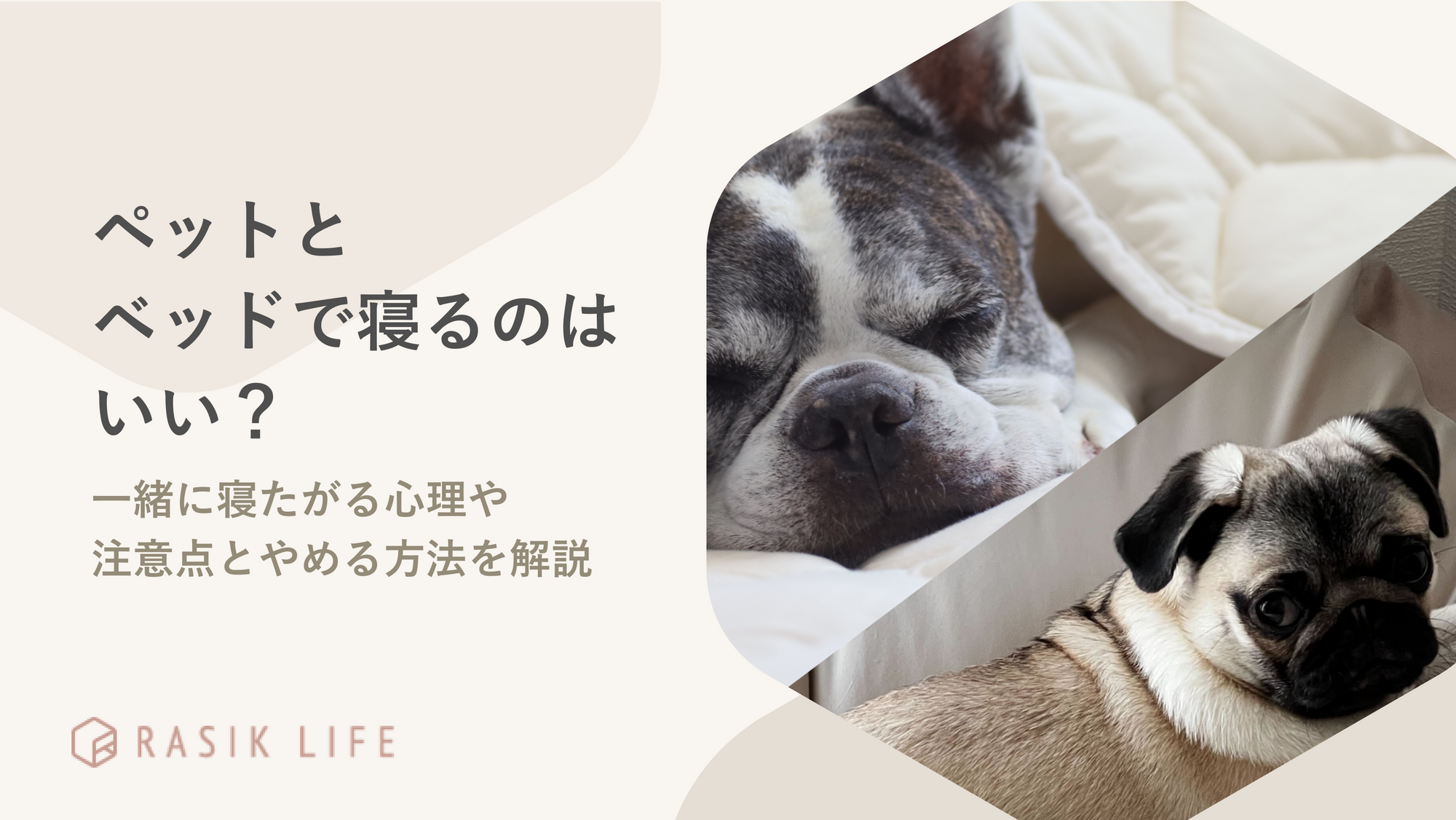 犬（ペット）とベッドで寝るのはいい？一緒に寝たがる心理や注意点とやめる方法を解説介