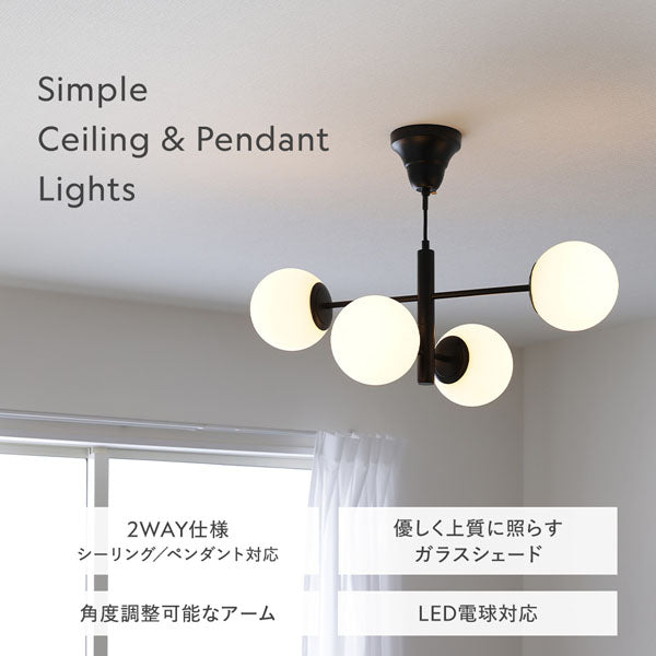 Simple Ceiling & Pendant Lights