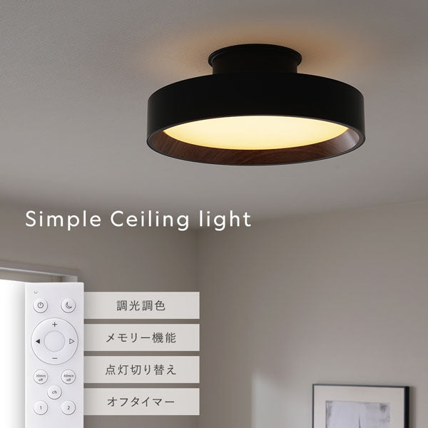 Simple Ceiling light