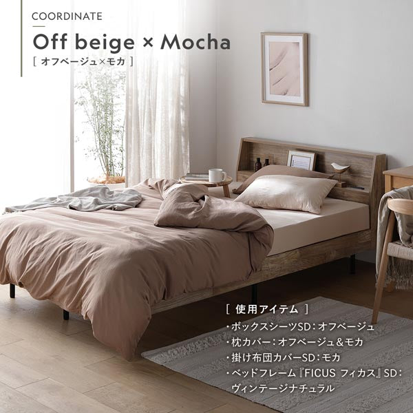 コーディネート例