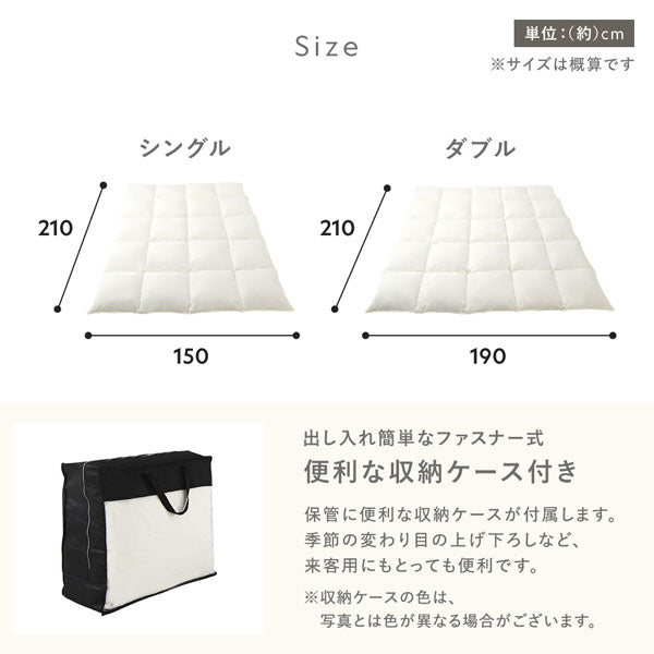 サイズ