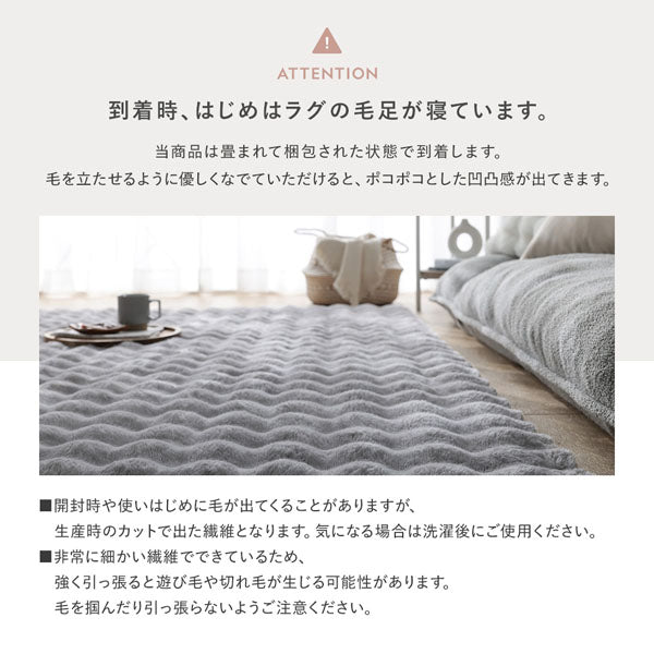 到着時、はじめはラグの毛足が寝ています。