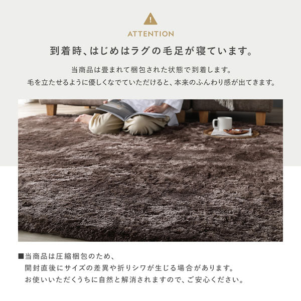 到着時、はじめはラグの毛足が寝ています。