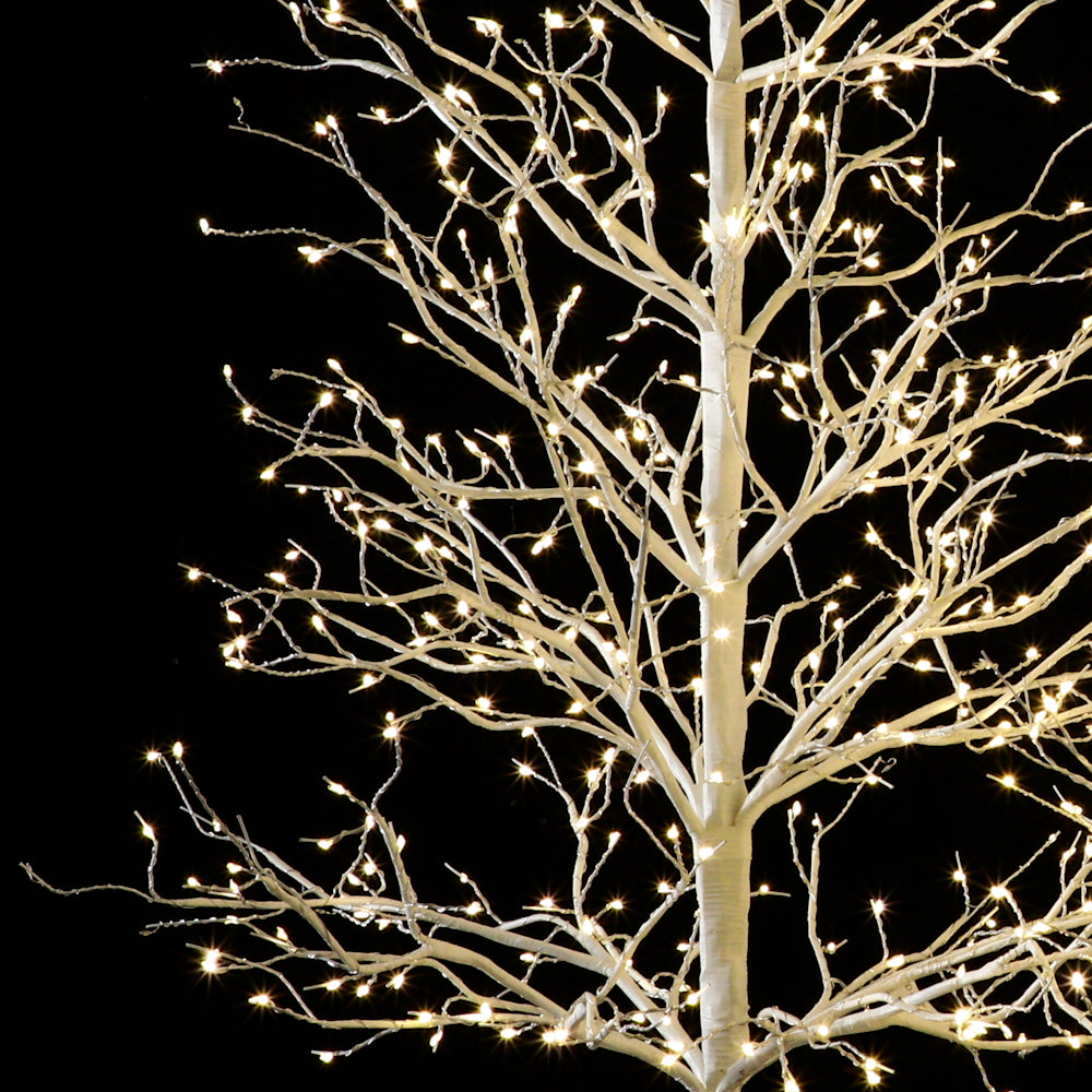 Noble Branch Tree